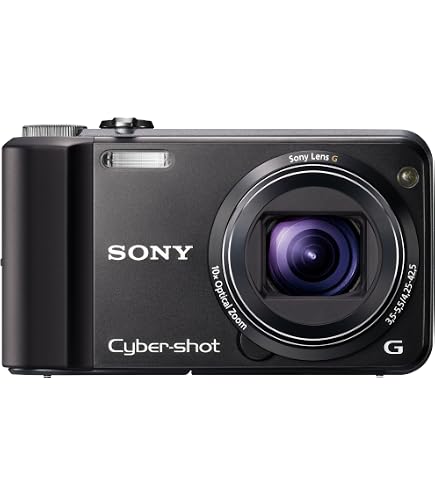 Sony Cyber-shot DSC-HX10V 18.2 MP Exmor R CMOS Digital Camera with